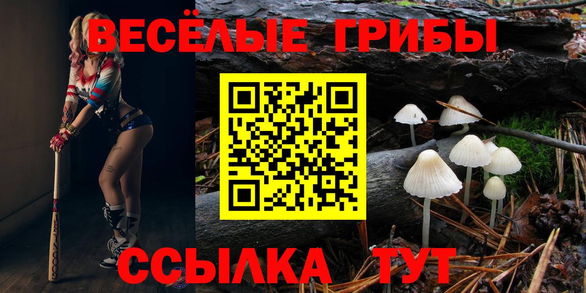 Псилоцибиновые грибы прущие грибы Артём