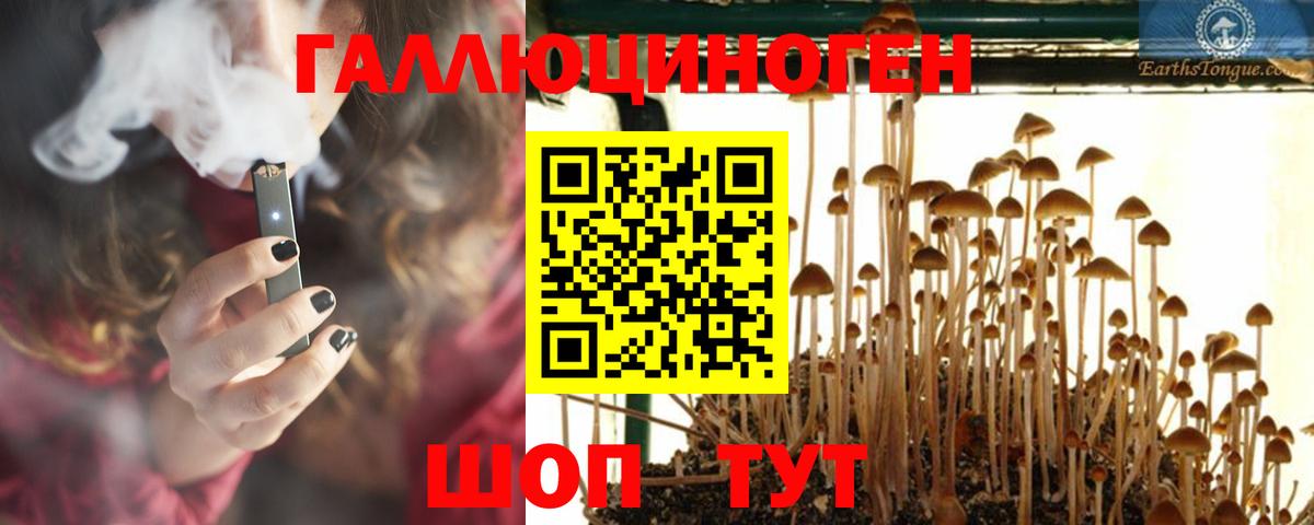 как найти   Вход с VPN  Псилоцибиновые грибы прущие грибы  Артём  Галлюциногенные грибы GOLDEN TEACHER 